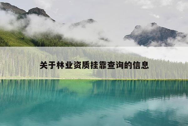 关于林业资质挂靠查询的信息