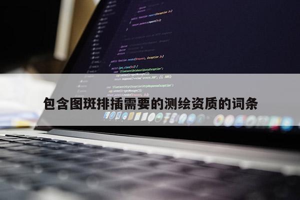 包含图斑排插需要的测绘资质的词条