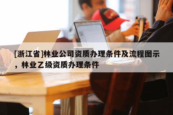 [浙江省]林业公司资质办理条件及流程图示，林业乙级资质办理条件