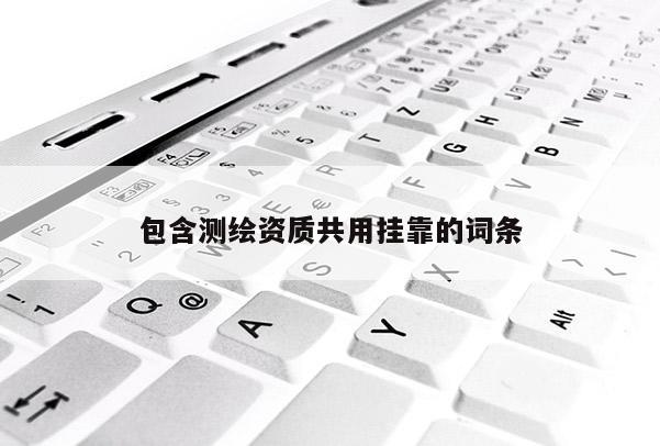 包含测绘资质共用挂靠的词条