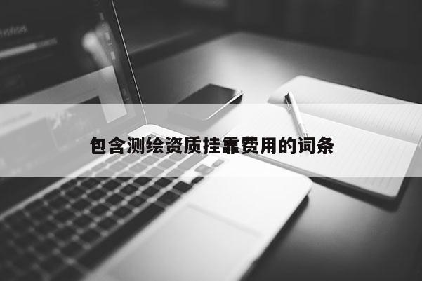包含测绘资质挂靠费用的词条